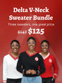 ΔΣΘ V Neck Sweater Bundle