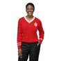 ΔΣΘ Red V Neck Sweater