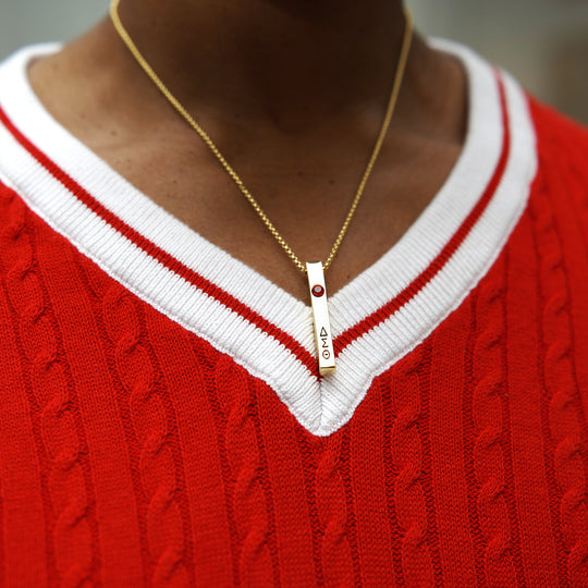 ΔΣΘ Red V Neck Sweater