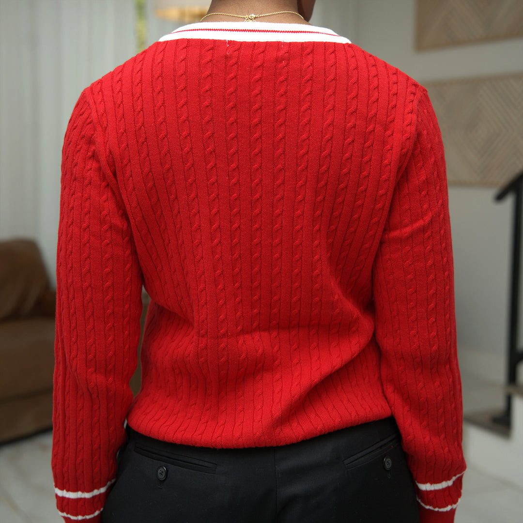 ΔΣΘ Red V Neck Sweater