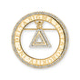 DST Laser Engraved Delta Pin-Gold