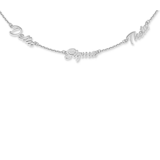 The Delta Sigma Theta Crestline Necklace (Silver)