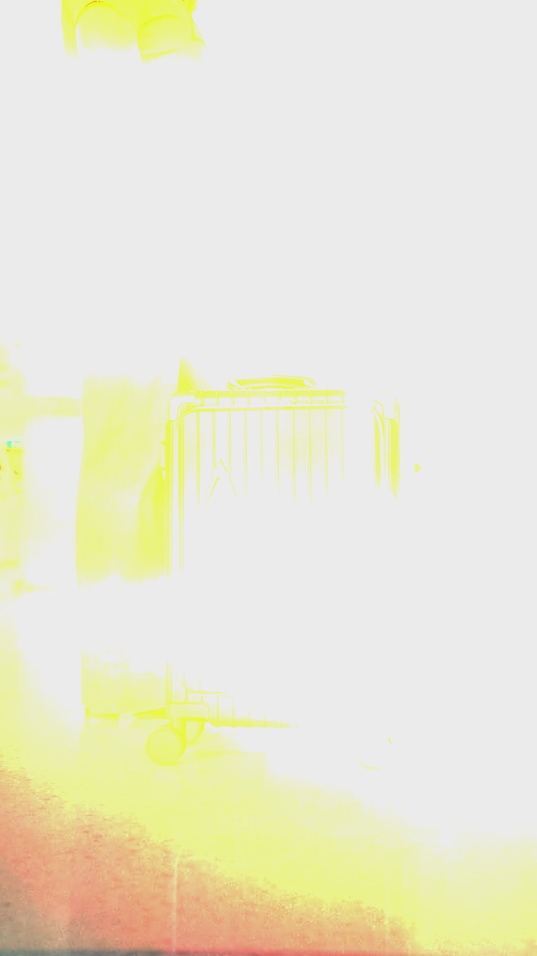 Delta Executive Carry On