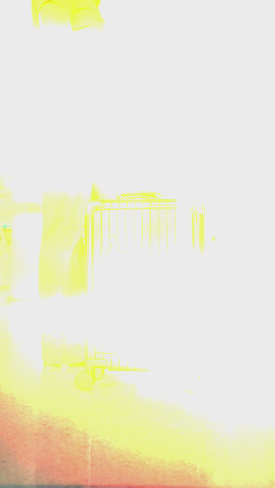 Delta Executive Carry On