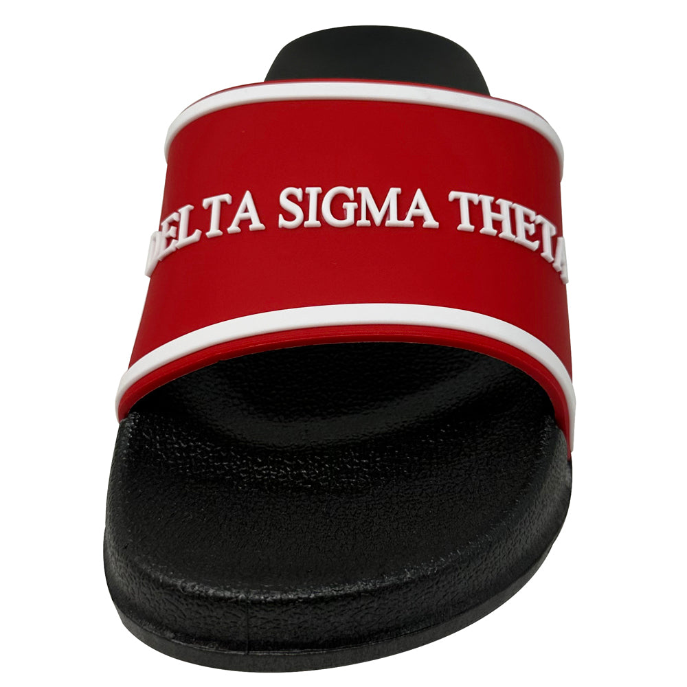 Delta Sigma Theta Low Top Shoe Paint Style A31 - Love The World